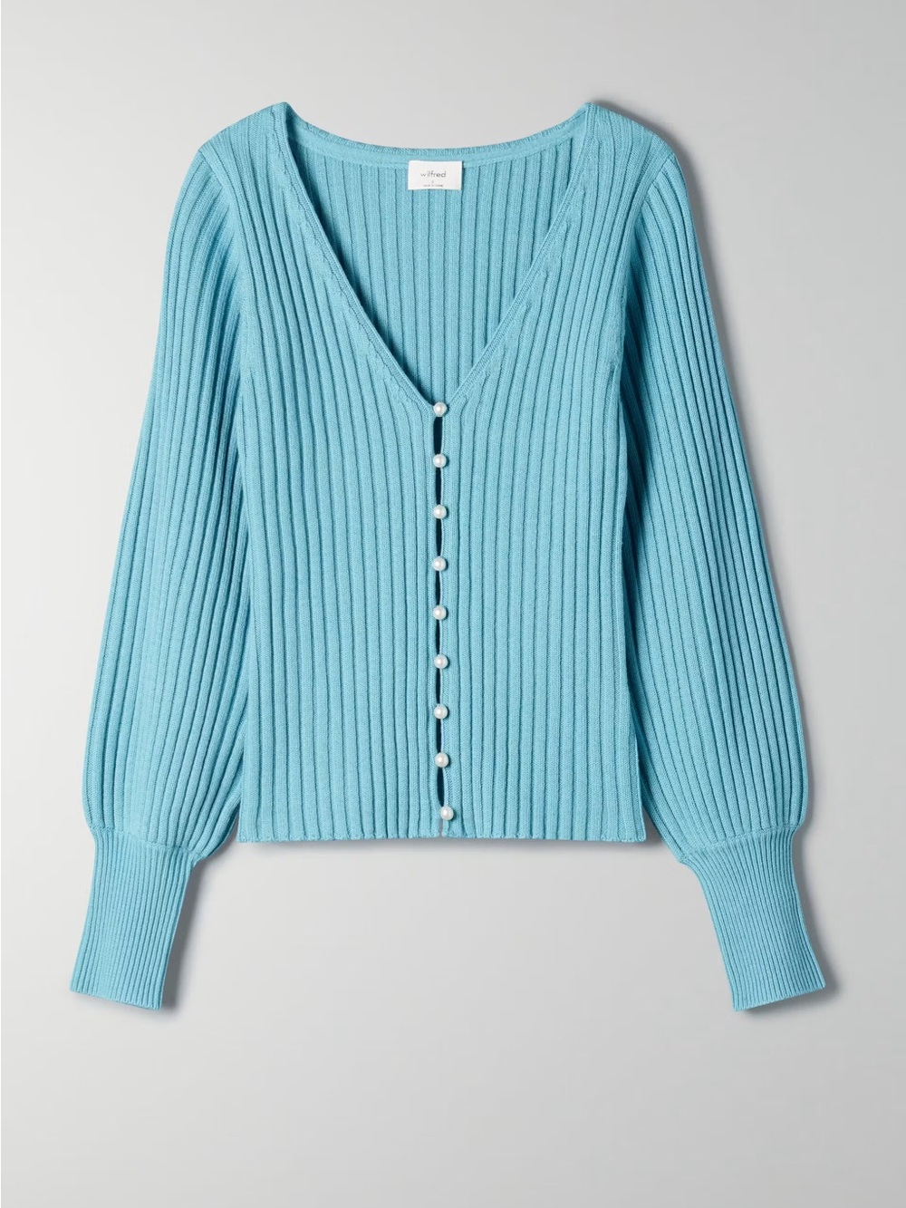 Aritzia Wilfred Pearl Sweater/Cardigan (Blue)
